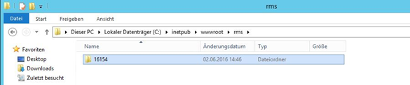 E-IM-RMS-WEB-V1.3.1_install server software