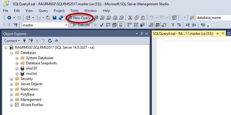 FAQ- SQL Server Management- New Query