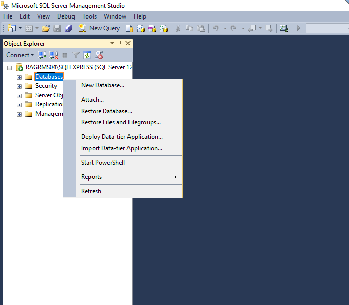 Microsoft SQL Server Database